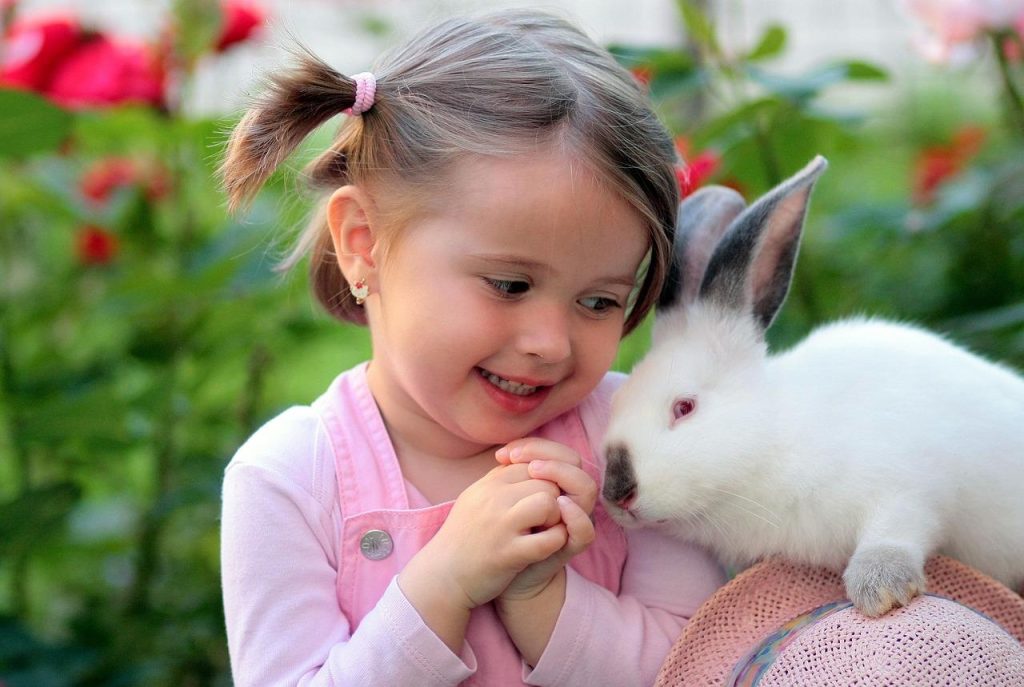 Kinderboerderij Sittard: kinderen voeren dieren, speelplein en groene omgeving voor gezinnen