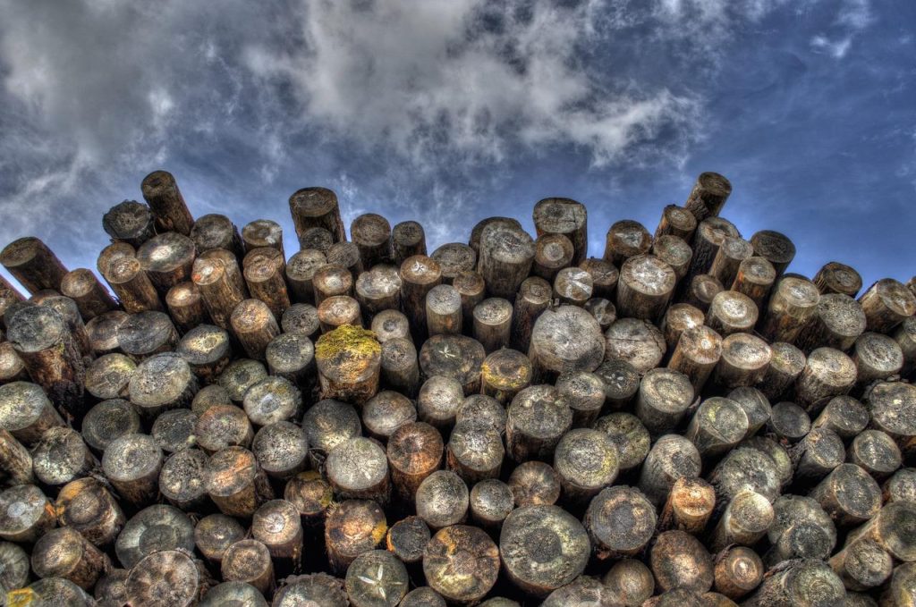 Assortiment duurzaam hout bij Houthandel in Nieuwegein voor doe-het-zelf projecten en meubelwerk